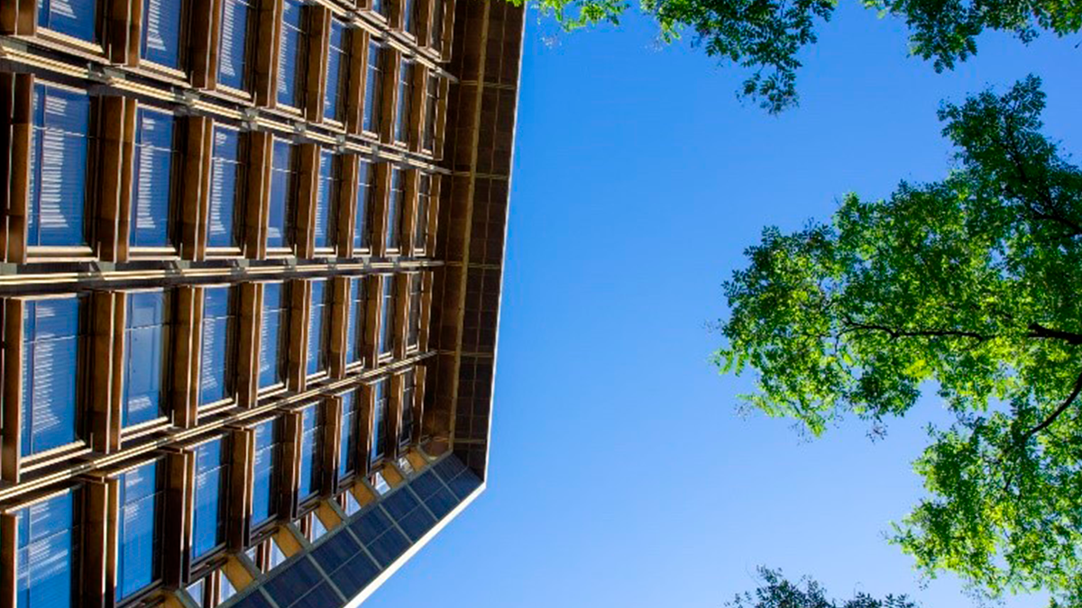 SATE: Ayudas públicas para la rehabilitación energética de edificios 1 en Pinturas Jafep Sate Jafep